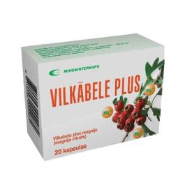 BOJARAŠŅIK Plus kapsulas N20